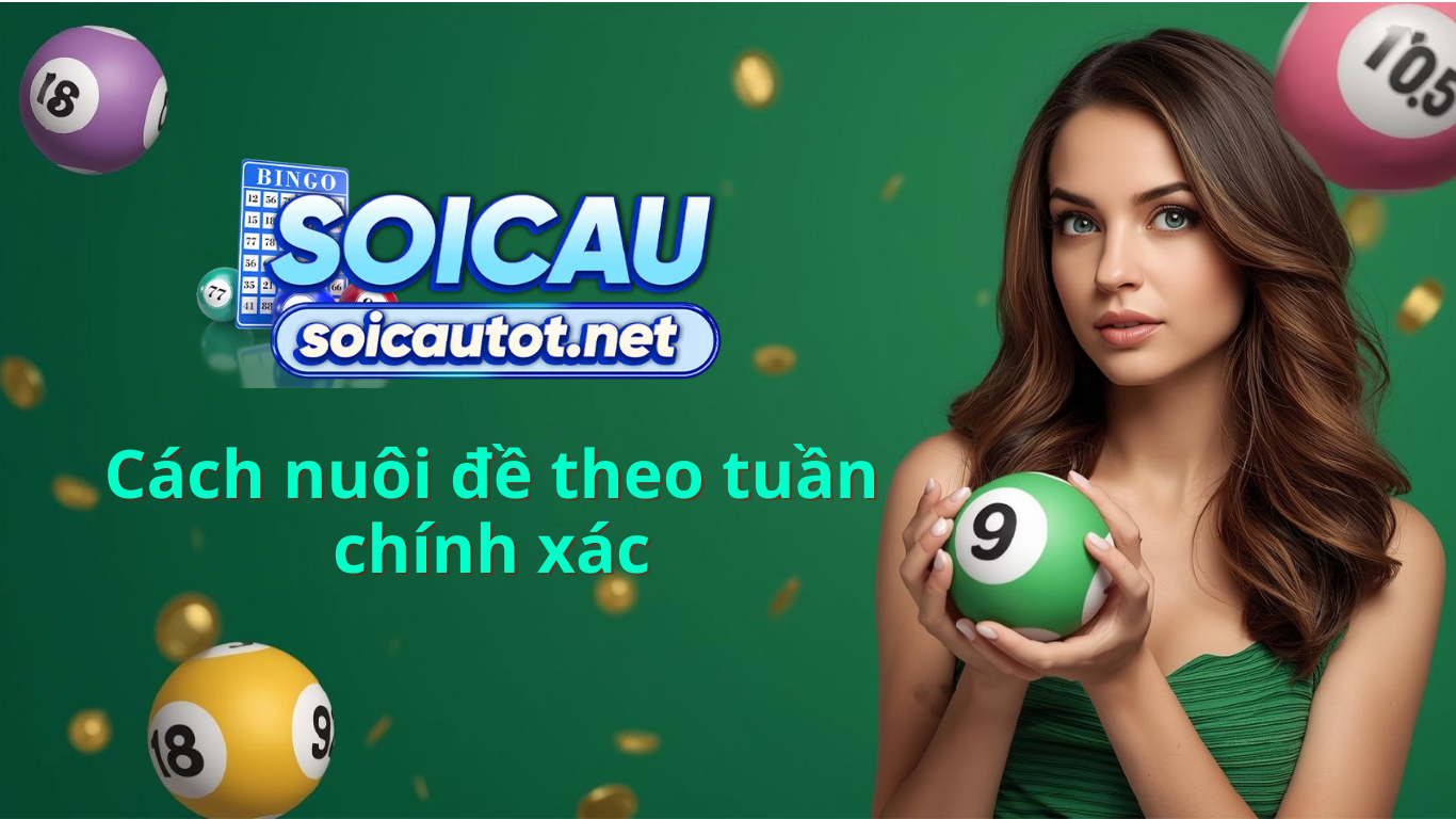 Đề nu&ocirc;i tuần - C&aacute;ch bắt cầu đề nu&ocirc;i tuần hiệu quả nhất 100%